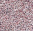 Northern Pink